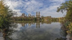 США, Нью-Йорк, Манхеттен, Центральний парк в dayitme — стокове фото