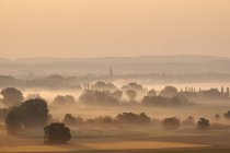Germania, Baden-Wuerttemberg, distretto di Constance, Radolfzell, vista su Radolfzeller Aach al mattino con nebbia — Foto stock