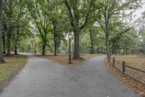 USA, New York City, Manhattan, Central Park at daytime — Stock Photo
