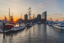 Alemania, Hamburgo, Niederhafen y la Filarmónica del Elba al amanecer - foto de stock