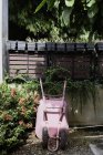 Brouette rose dans le jardin entouré de plantes — Photo de stock