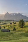 Italia, Alto Adige, Alpe di Siusi, fienili al mattino — Foto stock