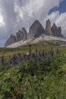 Italia, Sexten Dolomites, Tre Cime di Lavaredo, Parque natural Tre Cime - foto de stock