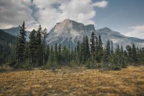 Canadá, Colúmbia Britânica, Columbia-Shuswap A, Montanhas Rochosas, Michael Peak, Parque Nacional Yoho — Fotografia de Stock