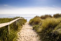 Germania, Schleswig-Holstein, Sylt, sentiero tra le dune — Foto stock