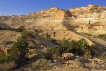 Oman, Dhofar, limestone canyon of Wadi Shuwaymiyah — Stock Photo