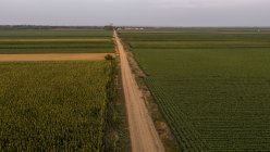 Сербия, Воеводина, Вид с воздуха на кукурузные, пшеничные и соевые поля во второй половине лета — стоковое фото