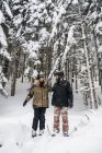 Italia, Modena, Cimone, coppia sci in piedi nel bosco invernale — Foto stock