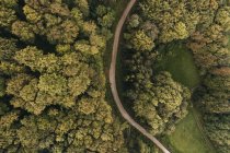 Austria, Baja Austria, Viena Bosques, Reserva de la Biosfera Viena Bosques, Vista aérea del camino de tierra y bosque por la mañana temprano - foto de stock