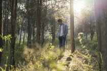 Молода людина, що стоїть в лісі, проти сонця — стокове фото