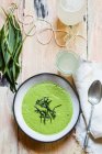 Bol de soupe ramson garni de ramson — Photo de stock