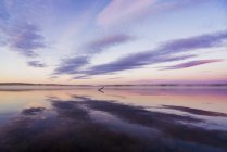 Швеция, Лапландия, Кируна, закат у озера — стоковое фото