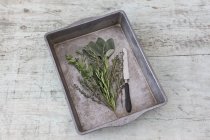 Roasting tray with fresh Provencal herbs and knife on wood — Stock Photo