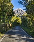 New Zealand, North Island, Egmont National Park, view to Mount Taranaki — Stock Photo