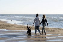 Coppia giovane con cane passeggiando sulla spiaggia sabbiosa — Foto stock