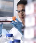Биомедикальные исследования, женщина-ученый наблюдает за развитием стволовых клеток в банке с культурой во время эксперимента в лаборатории — стоковое фото