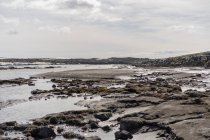 Islanda, Skjalfandafljot, spiaggia rocciosa — Foto stock
