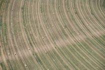 EUA, Fotografia aérea da agricultura de contorno após a colheita no oeste do Nebraska — Fotografia de Stock
