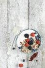 Ciotola di muesli con yogurt naturale e bacche — Foto stock