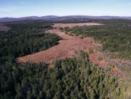 USA, Virginia Occidentale, Veduta aerea della zona di Dolly Sods Wilderness — Foto stock