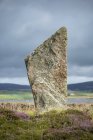 Grã-Bretanha, Escócia, Orkney, Continente, Anel de Brodgar, círculo de pedra neolítica, pedra — Fotografia de Stock