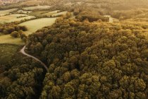 Austria, Bassa Austria, Vienna Woods, Riserva della Biosfera Vienna Woods, Veduta aerea della foresta al mattino presto — Foto stock
