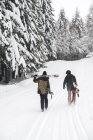 Италия, Модена, Чимоне, вид сзади на пару с лыжниками и сноубордистами, гуляющими по зимнему лесу — стоковое фото