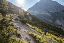 Австрия, Тироль, поход юноши в солнечные горы — стоковое фото