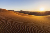Africa, Namibia, Namib desert, Naukluft National Park, sand dunes in the morning light against the morning sun — Stock Photo