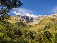 Nueva Zelanda, Isla Sur, Región de Canterbury, Parque Nacional Arthur 's Pass, Arthur' s Pass - foto de stock