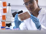 Científica preparando una bandeja multipozo que contiene muestras de sangre para pruebas clínicas en el laboratorio — Stock Photo