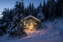 Austria, Altenmarkt-Zauchensee, trineos, muñeco de nieve y árbol de Navidad en casa de madera iluminada en la nieve por la noche - foto de stock