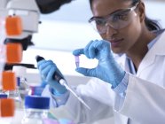 Investigación genética, mujer científica viendo la muestra en un vial de eppendorf, análisis en el laboratorio - foto de stock
