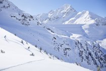 Австрия, Тироль, Кюхтай, пара лыжников в зимнем пейзаже — стоковое фото
