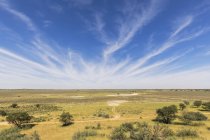 África, Botsuana, Kgalagadi Transborder Park, Kalahari, Polentswa Pan e waterhole — Fotografia de Stock