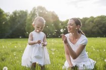Mutter und Tochter im Sommer mit Pusteblumen auf der Wiese — Stockfoto