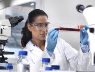 Investigación biomédica, científica femenina que observa células madre desarrollándose en un frasco de cultivo durante un experimento en el laboratorio - foto de stock
