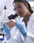 Científica preparando una bandeja multipozo que contiene muestras de sangre para pruebas clínicas en el laboratorio — Stock Photo