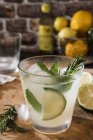 Bicchiere di Gin Tonic con lime, menta, rosmaria e ghiaccio — Foto stock