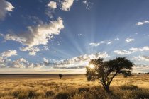 África, Botsuana, Kgalagadi Transborder Park, Mabuasehube Game Reserve, Mabuasehube Pan ao nascer do sol — Fotografia de Stock