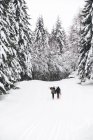 Италия, Модена, Чимоне, вид сзади на пару с лыжниками и сноубордистами, гуляющими по зимнему лесу — стоковое фото