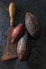 Cocoa fruit on an old cleaver — Stock Photo