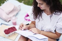 Mujer joven sentada sobre una manta en un prado escribiendo en un cuaderno - foto de stock