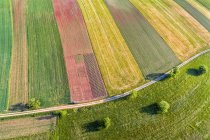 Alemania, Baden-Wuerttemberg, Rems-Murr-Kreis, Vista aérea de los campos - foto de stock