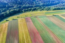 Alemanha, Baden-Wuerttemberg, Rems-Murr-Kreis, Floresta da Suábia Francónia, Vista aérea dos campos — Fotografia de Stock