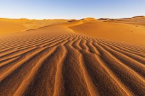 Africa, Namibia, Namib desert, Naukluft National Park, sand dunes — Stock Photo
