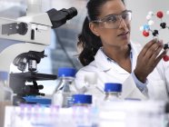 Biotechnology Research, científica femenina que examina una fórmula química utilizando un modelo molecular de bola y palo en el laboratorio - foto de stock