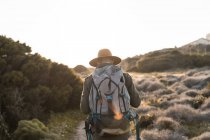 Italy, Sardinia, back view of hiker with hat and backpack — Stock Photo