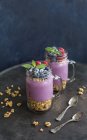 Дві склянки йогурту з арахісовою гранолою, порошком аронії та начинкою подрібнених лісових горіхів та заморожених ягід — стокове фото