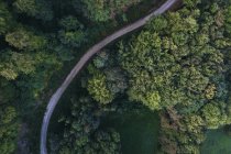 Austria, Lower Austria, Vienna Woods, Biosphere Reserve Vienna Woods, Aerial view of dirt road and forest in the early morning — Stock Photo